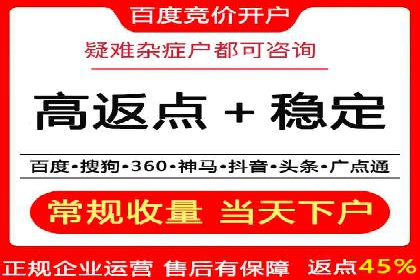 行业标杆：SEM推广代运营成功案例